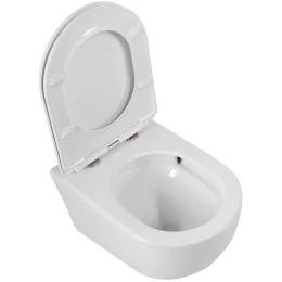 Унитаз Cezares Relax-Tor CZR-3806-53-TH-TOR/SC подвесной