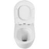Унитаз Cezares Relax-Tor CZR-3806-53-TH-TOR/SC подвесной