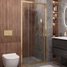 Душевая дверь Cezares Molveno 100 MOLVENO-BF-3-100-C-BORO-IV