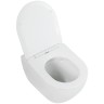 Унитаз Cezares Stylus-Tor CZR-6601-TH-TOR/CZR-2316-SC подвесной