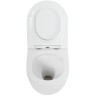 Комплект унитаза Cezares Stylus-Tor CZR-6601-TH-TOR/CZR2316SC с инсталляцией BelBagno BB002-80/BB005-PR-CHROME