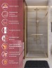 Душевая дверь Cezares Lux 100 LUX-B-FS-1-100-C-BORO