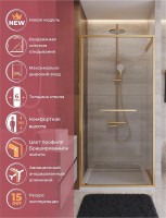 Душевая дверь Cezares Lux 100 LUX-B-FS-1-100-C-BORO
