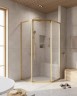 Душевой уголок Cezares Relax-304 100x100 RELAX-304-P-1-100-C-BORO