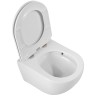 Унитаз Cezares Relax-Tor CZR-38088-49-TH-TOR/SC подвесной
